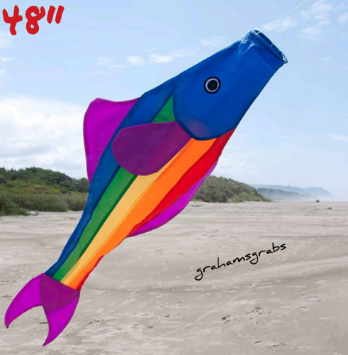 Rainbow fishy fish trout - rainbow,