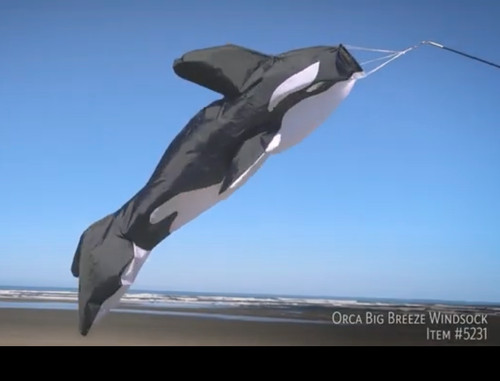 Windsock orca ocean - windsock,